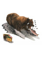 MADD CAPP,  Puzzle konturowe I AM - Grizzly 1000 elem.