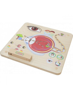 MASTERKIDZ Tablica Edukacyjna Zmysł Wzroku Montessori