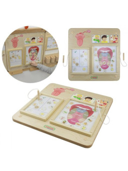 MASTERKIDZ Tablica Edukacyjna Zmysł Wzroku Montessori