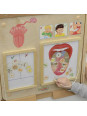 MASTERKIDZ Tablica Edukacyjna Zmysł Wzroku Montessori
