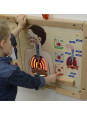 MASTERKIDZ Tablica Edukacyjna Układ Oddechowy Montessori MASTERKIDZ Tablica Edukacyjna Układ Oddechowy Montessori