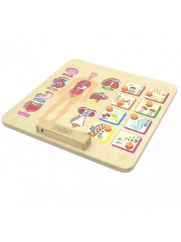 MASTERKIDZ Tablica Edukacyjna Układ Ciała Ludzkiego Montessori