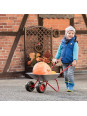 Taczka dla dzieci ogrodowa Rolly Toys Dwukołowa Metalowa