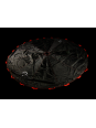 Spadochron Animacyjny Halloween 3m czerwone uchwyty