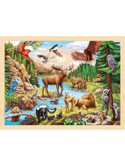 Puzzle - Ameryka Północna