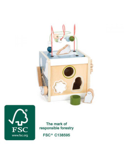 Motor Activity Cube "Arctic"