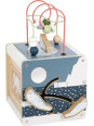 Motor Activity Cube "Arctic" Motor Activity Cube "Arctic"