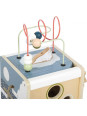 Motor Activity Cube "Arctic" Motor Activity Cube "Arctic"