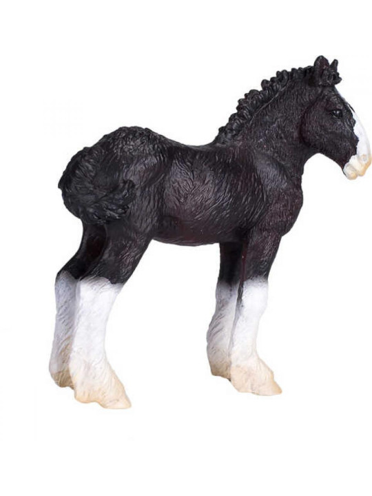 Źrebię Shire