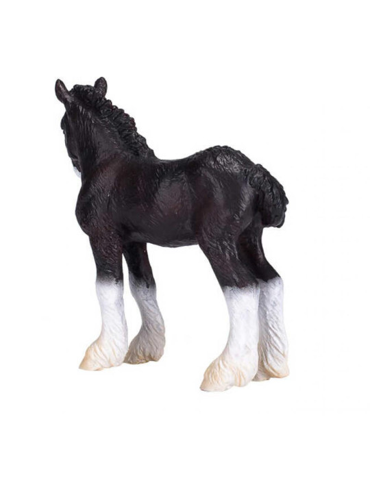 Źrebię Shire