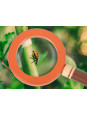Pas narzędziowy Odkrywcy "Discover" Pas narzędziowy Odkrywcy "Discover"