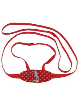 Horse-harness for children with embroidery