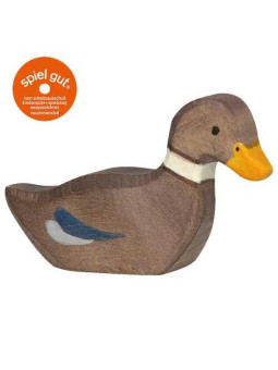 Duck, swimming