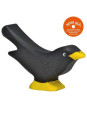 Blackbird
