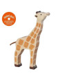 Giraffe, head raised