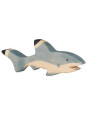 Shark Shark