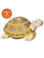Tortoise