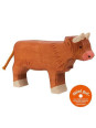 Higland cattle, standing