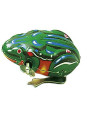 Jumping frog