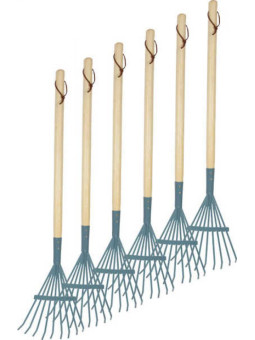 Rakes, set of 6, blue