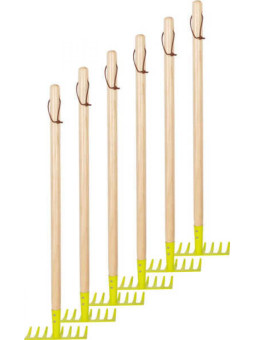 Rakes, set of 6, green