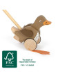 Push-Along Duck with Moving Head Push-Along Duck with Moving Head