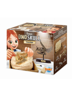 Muzeum czaszek dinozaura - TRICERATOPS 2131