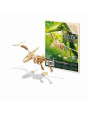 Drewniany model dinozaura D6B Drewniany model dinozaura D6B