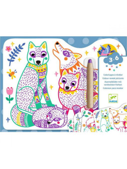 Magiczne kolorowanki - LEŚNE ZWIERZĄTKA DJ00065