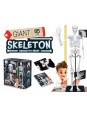 Szkielet człowieka - 85 cm 2181 Szkielet człowieka - 85 cm 2181