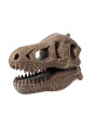 Muzeum czaszek dinozaura - TYRANOZAUR 2130 Muzeum czaszek dinozaura - TYRANOZAUR 2130