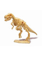 Mały paleontolog - Tyranozaur 445TYR Mały paleontolog - Tyranozaur 445TYR