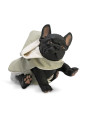 Piesek Nono Buldog Francuski 32 cm Asi 0617610
