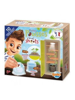 Mała szklarnia - obserwacja wzrostu roślinki M001