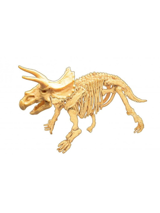 Mały paleontolog - Triceratops 445TRI