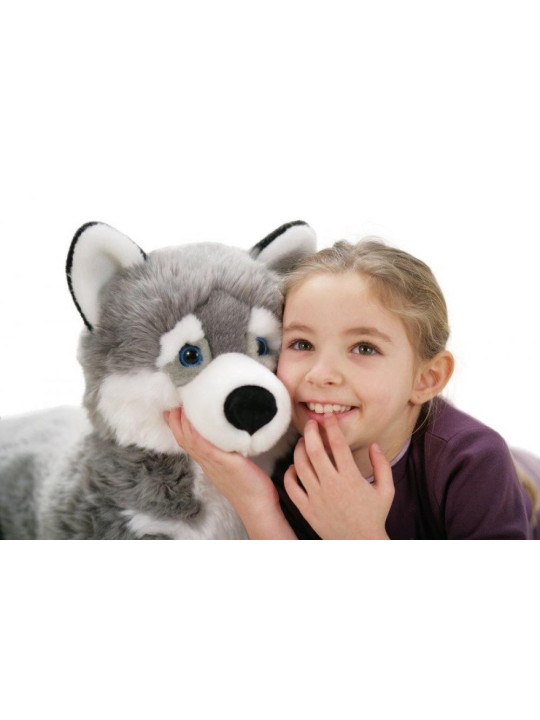 Maskotka dla dzieci. Piesek husky, 34 cm, Trudi