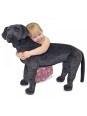 Przytulanka pluszowa Pies Labrador Melissa and Doug Przytulanka pluszowa Pies Labrador Melissa and Doug