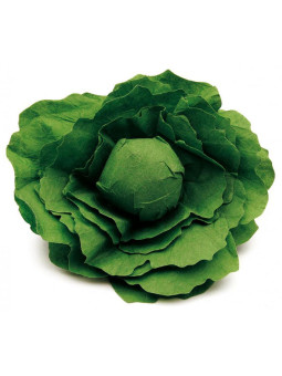 Sałata zabawa w gotowanie restaurację Erzi