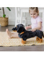 Przytulanka Jamnik Melissa and Doug