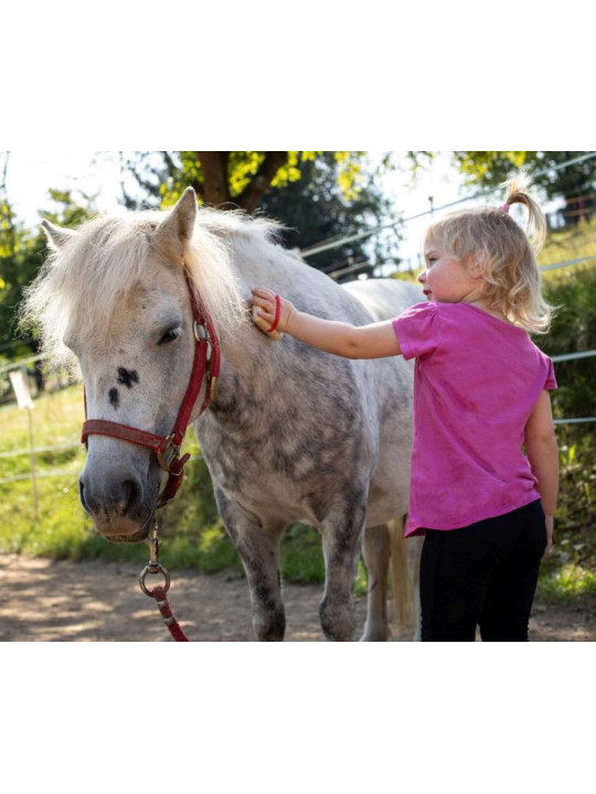 Zestaw do pielęgnacji konia 8el Hobby Horse akcesoria