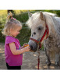 Zestaw do pielęgnacji konia 8el Hobby Horse akcesoria