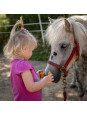 Zestaw do pielęgnacji konia 8el Hobby Horse akcesoria
