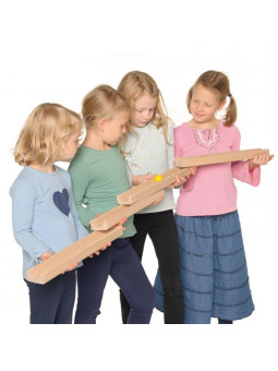 Tory kulkowe gra zespołowa Erzi