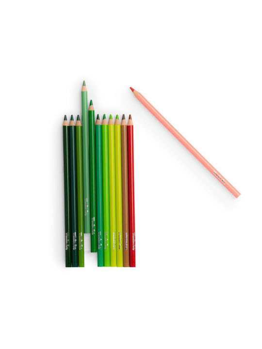 Zestaw 12 kredek NATURA z kartami 712615