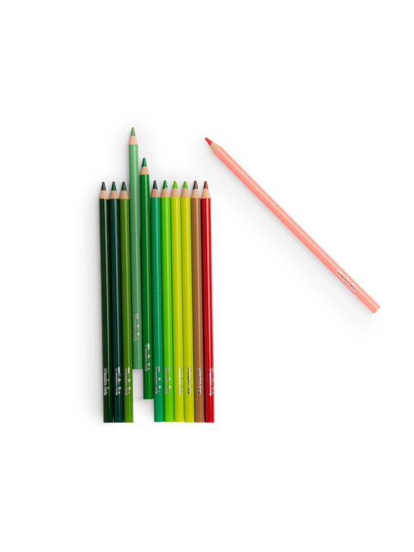 Zestaw 12 kredek NATURA z kartami 712615