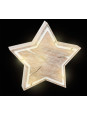 Compact Light-Up Star Tree Pit Design