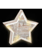 Light-Up Star Tree Pit Design