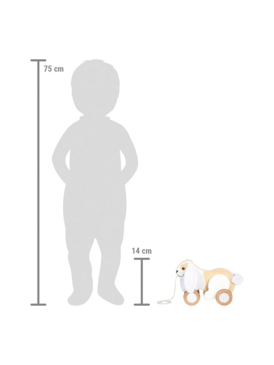 Pull-Along Rabbit with Crinkly Ears Pull-Along Rabbit with Crinkly Ears