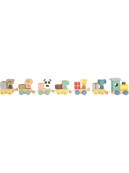 Birthday Train with Animals