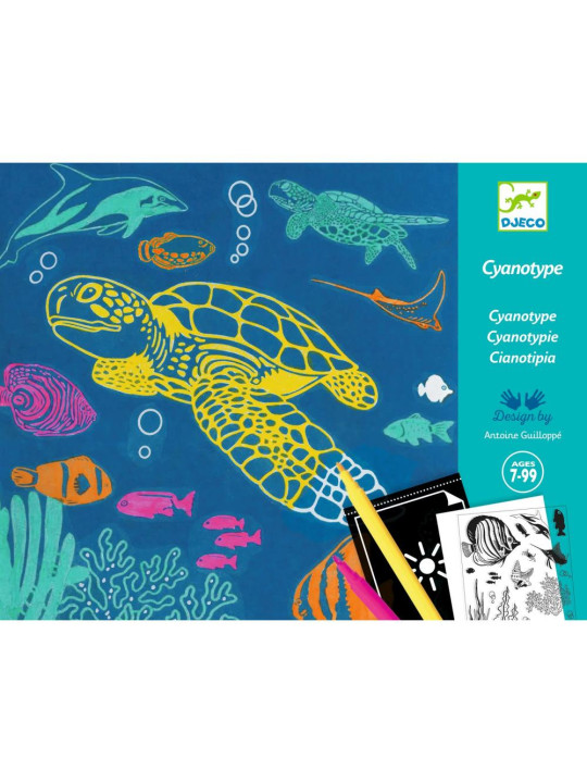 Zestaw artystyczny cyjanotypia OCEAN DJ09353